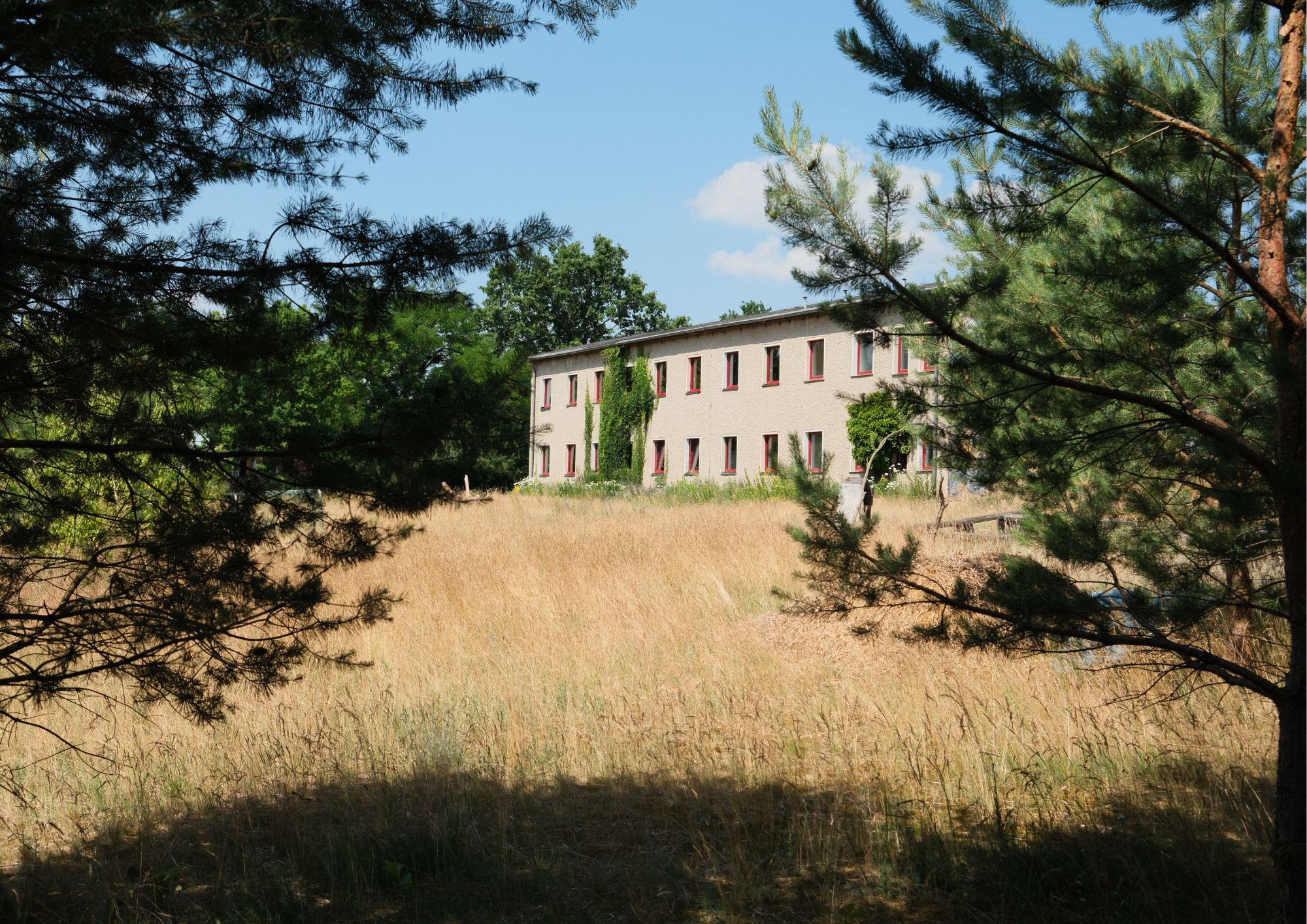 Ein Gebäude mit mehreren Fenstern, umgeben von Bäumen und Gräsern, gesehen durch Astwerk im Vordergrund, bei schönem Wetter mit blauen Himmel und Wolken.