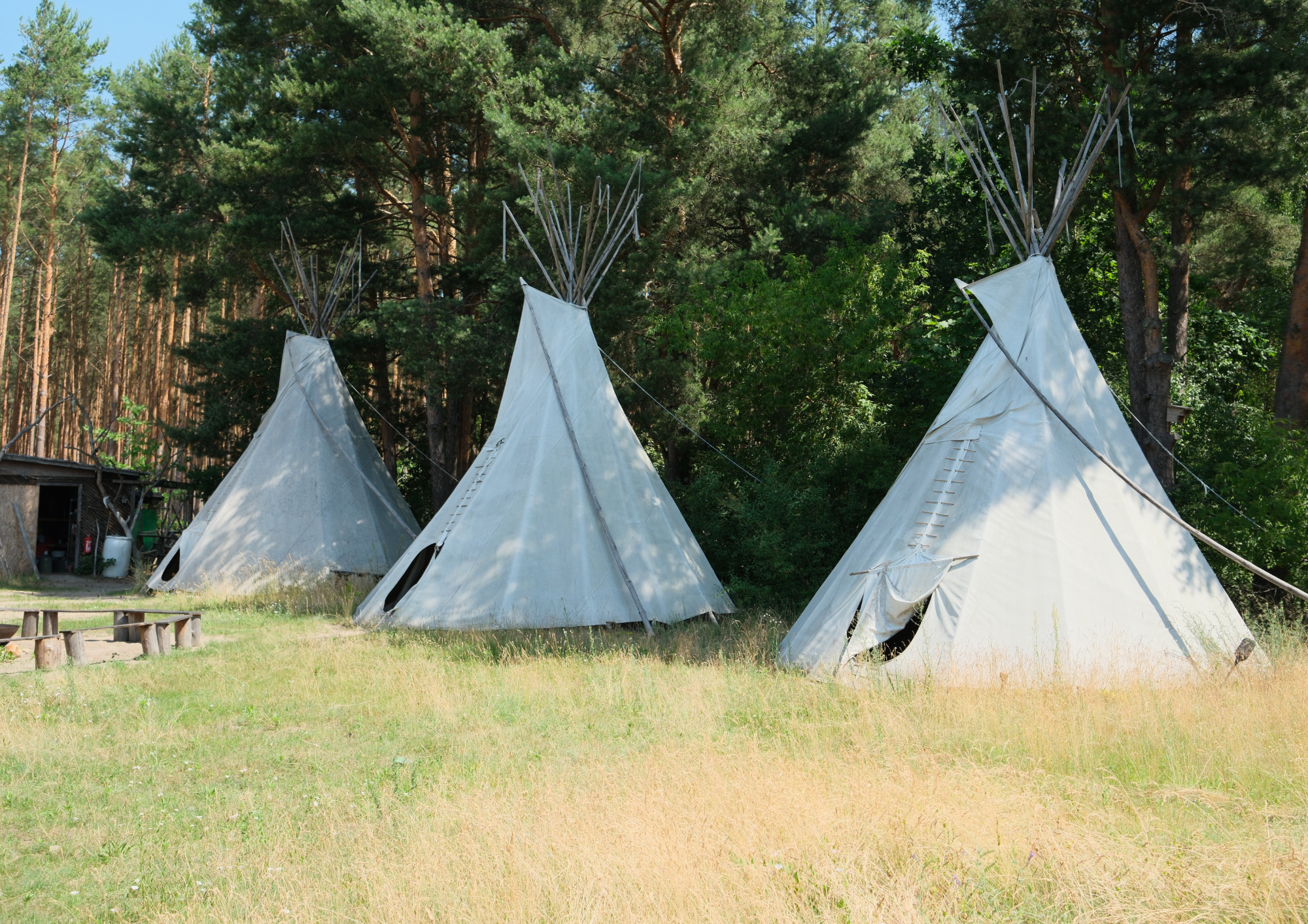 Drei weiße Tipis im Grünen, umgeben von Bäumen, auf einer Wiese im Freien