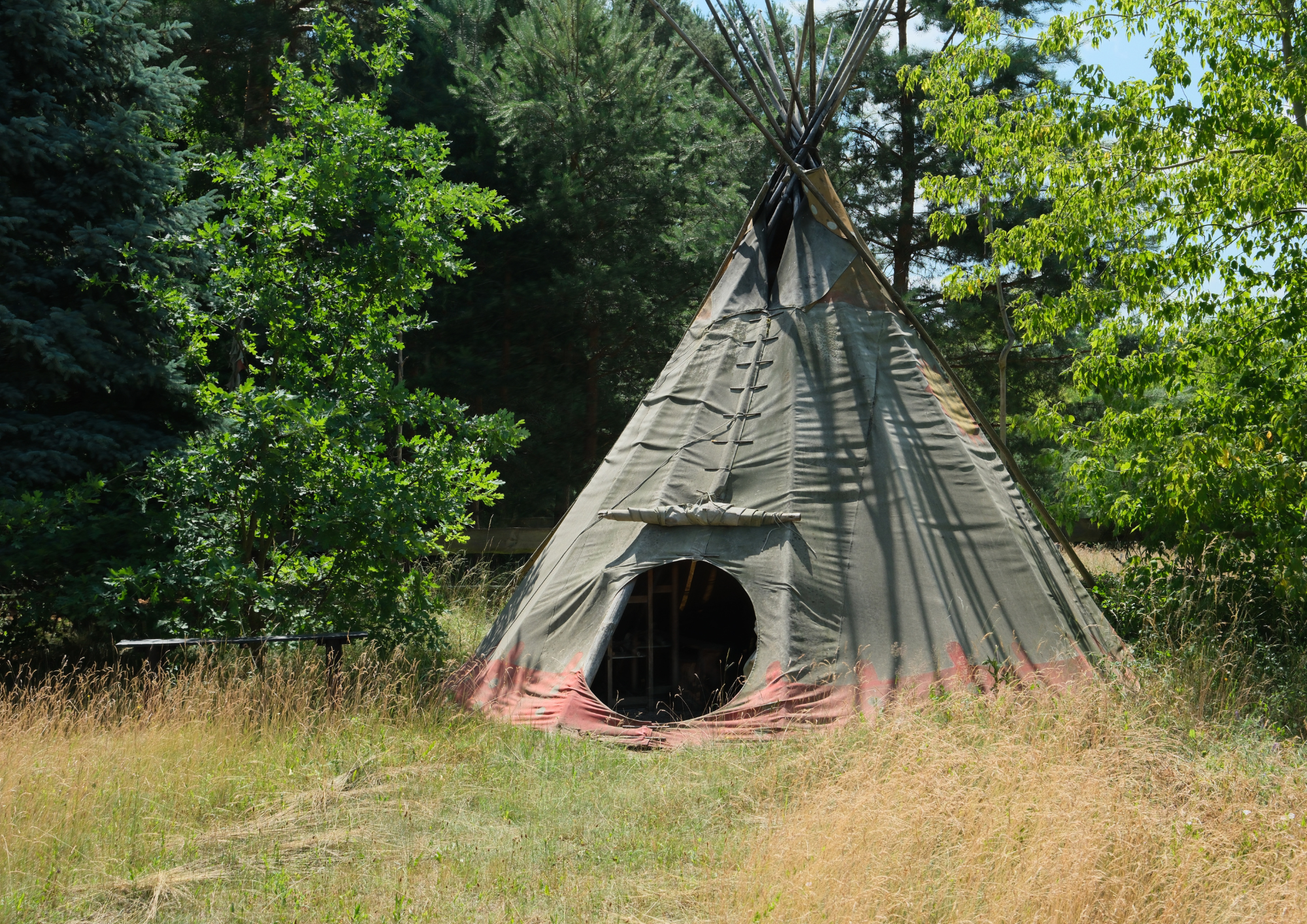 Ein Tipi-Zelt aus Segeltuch inmitten eines grünen Waldes, bei Tageslicht.