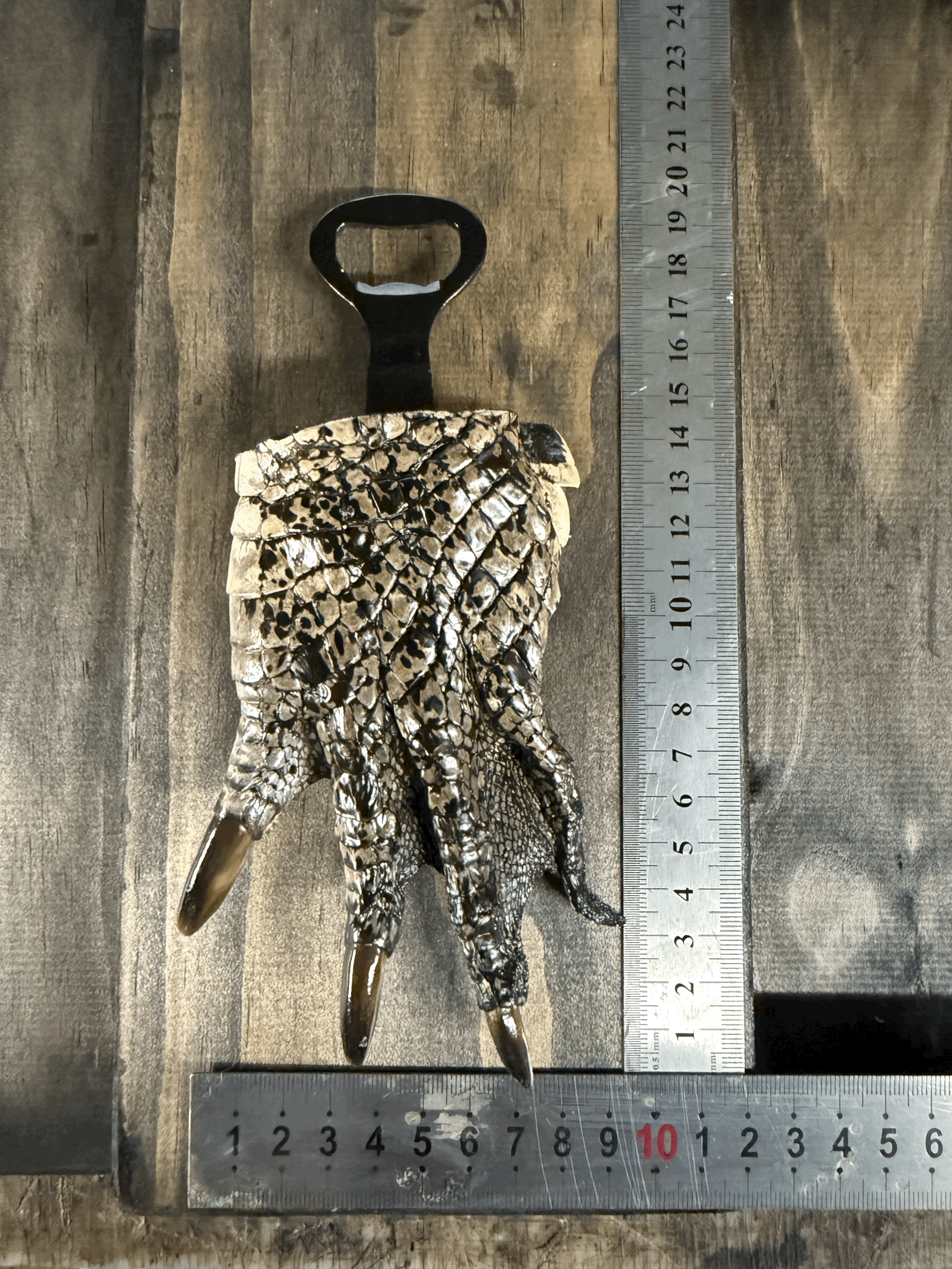 Crocodile Paw Bottle Opener