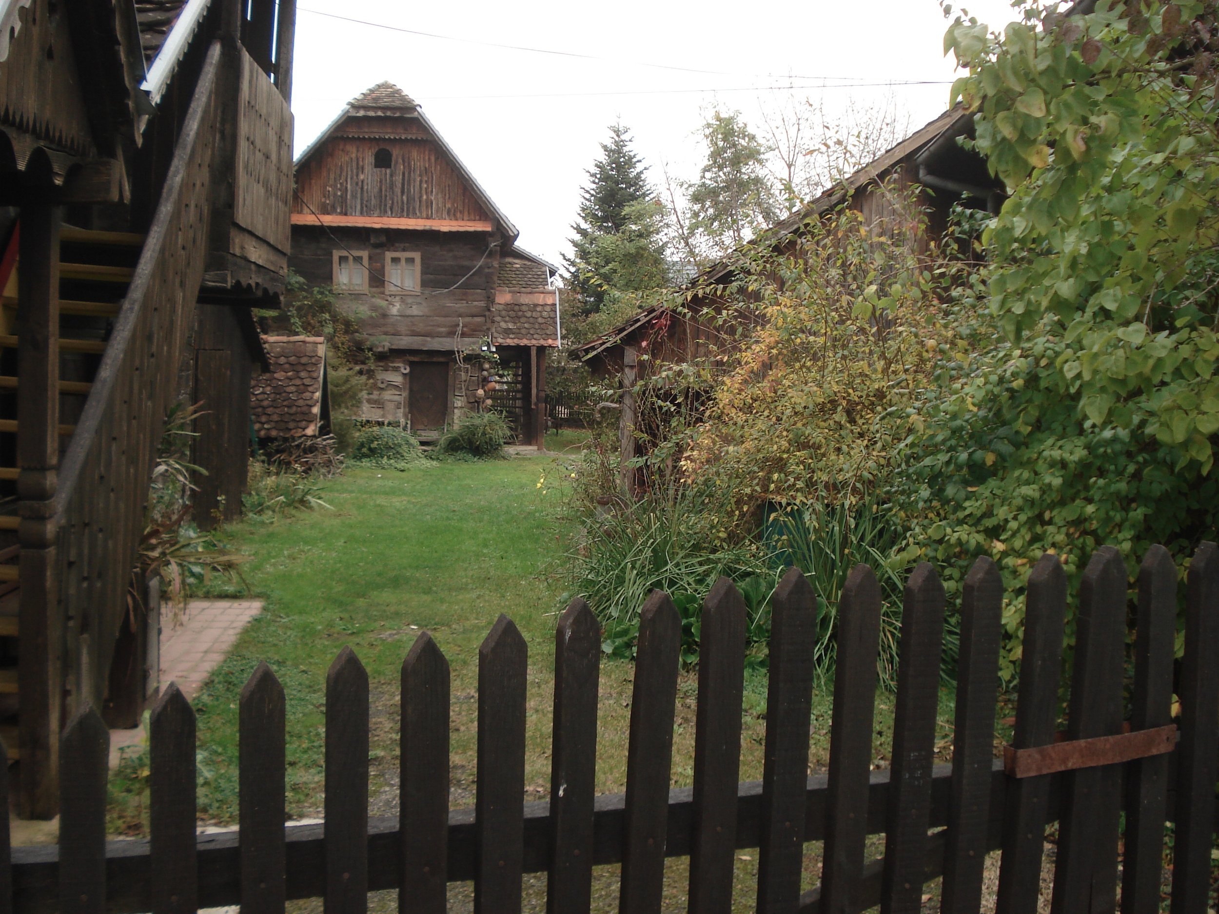 DSC08484.JPG