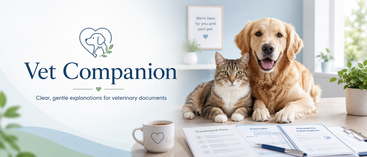 A dog and cat beside veterinary documents in a bright, calm room
