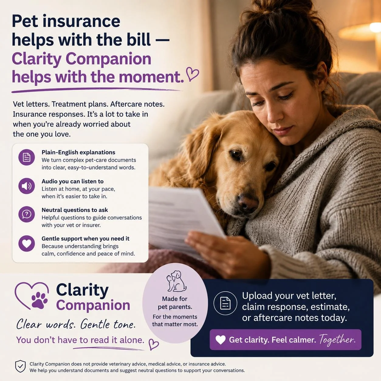 Clarity Companion Pet