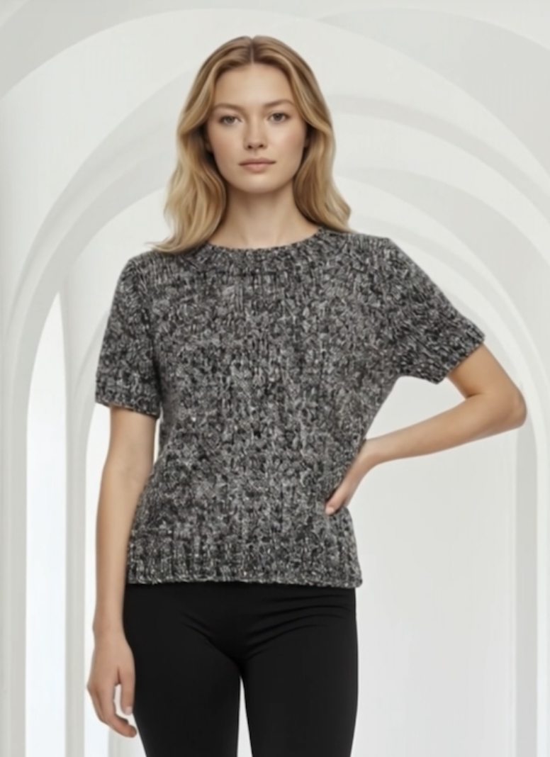 Heather short sleeve  sequin sweater