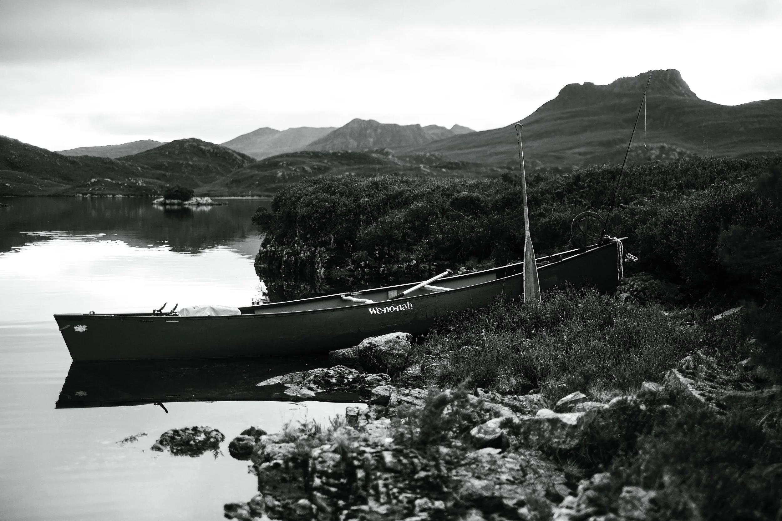 Wild Scotland