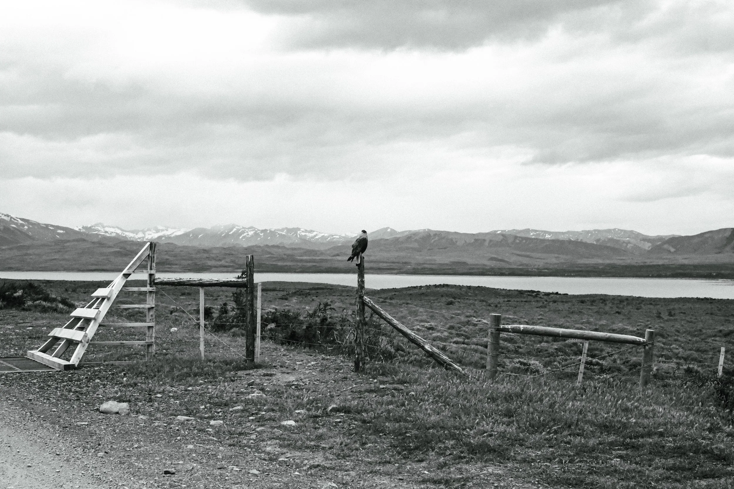 Black and white photo of a landscape with mountains, a body of water, cloudy sky, and a bird perched on a post in a fenced area.