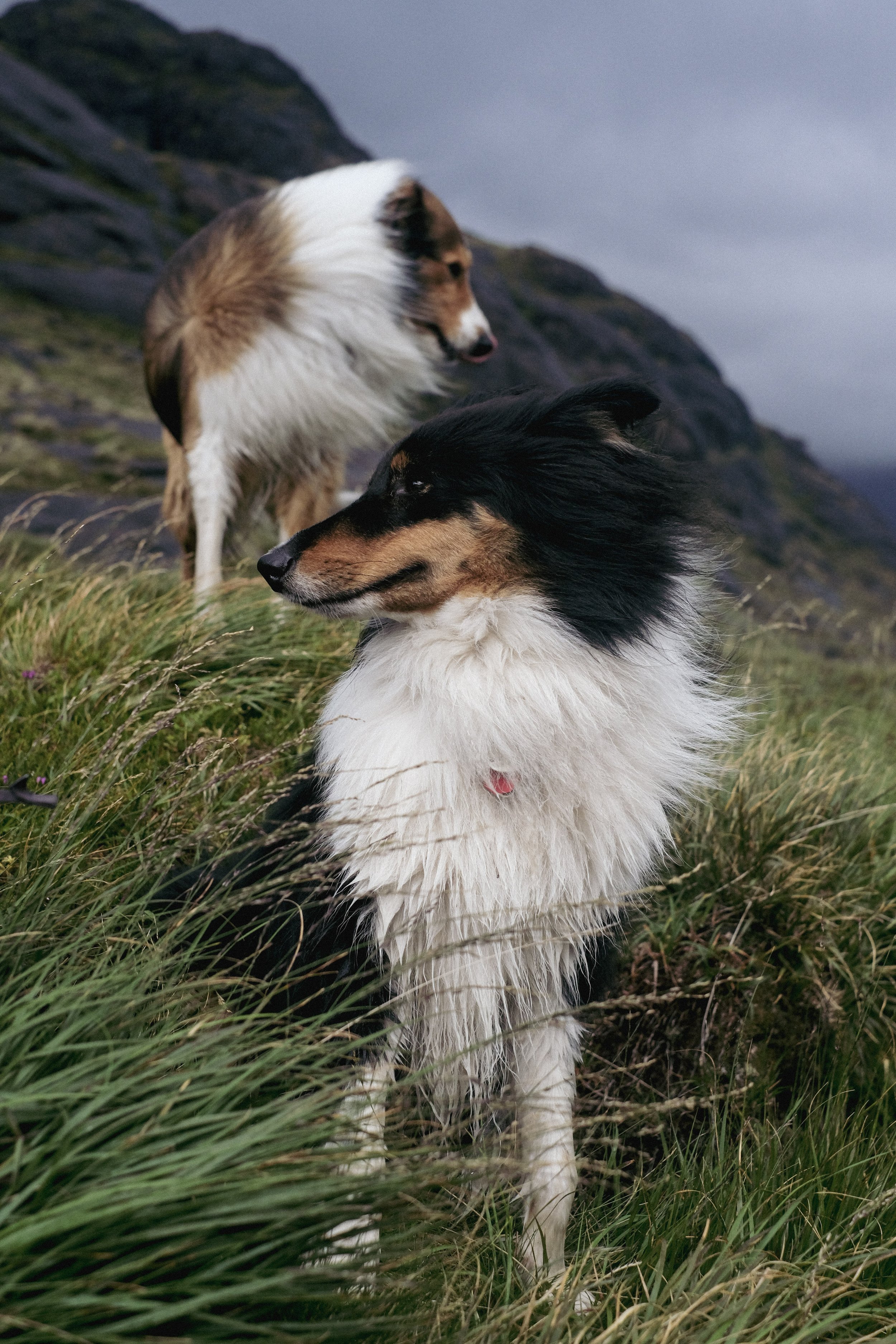 421-DSCF8173.jpg