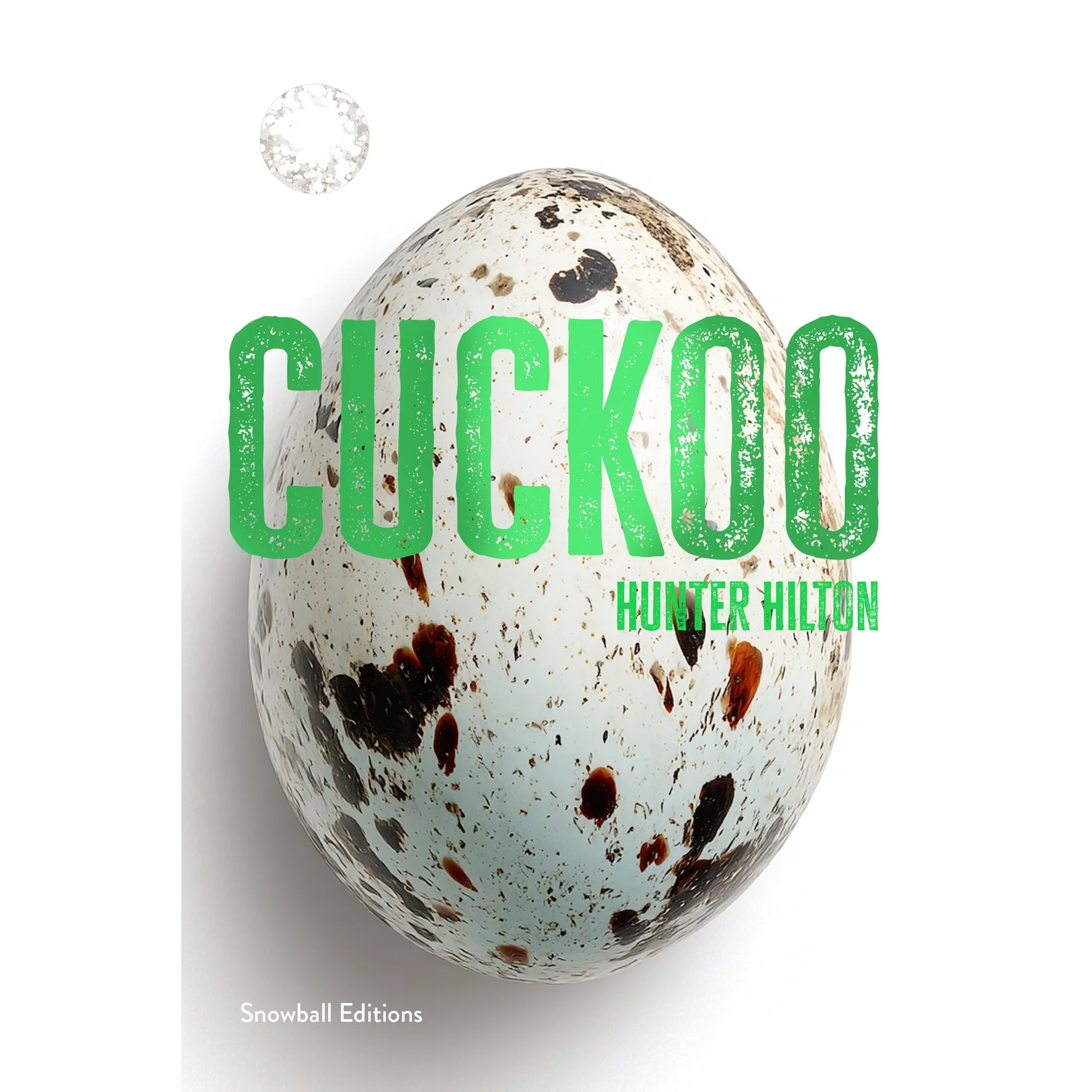 cuckoo zbb cover.jpg
