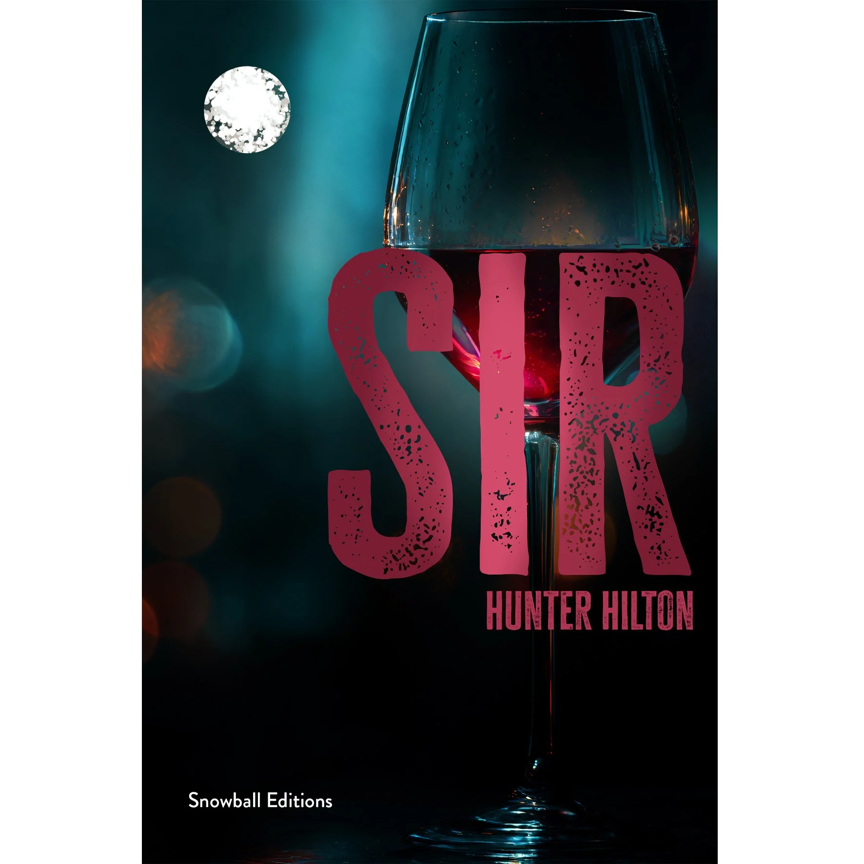sir zbb cover.jpg