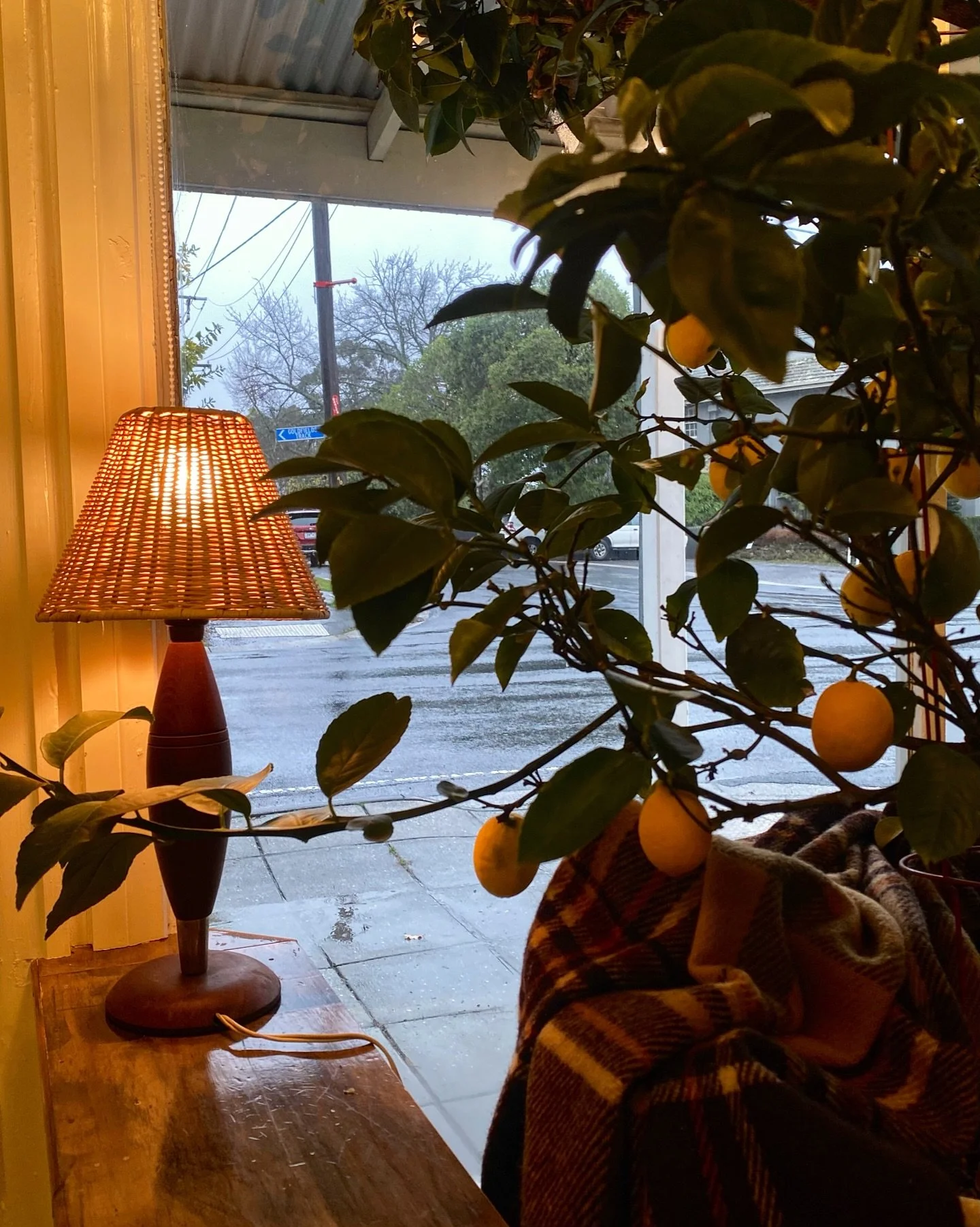 Some days call for slowing down.

Rain on the windows, a warm corner by the fire, and a long coffee that turns into lunch.

We&rsquo;ll have your table ready 🍋