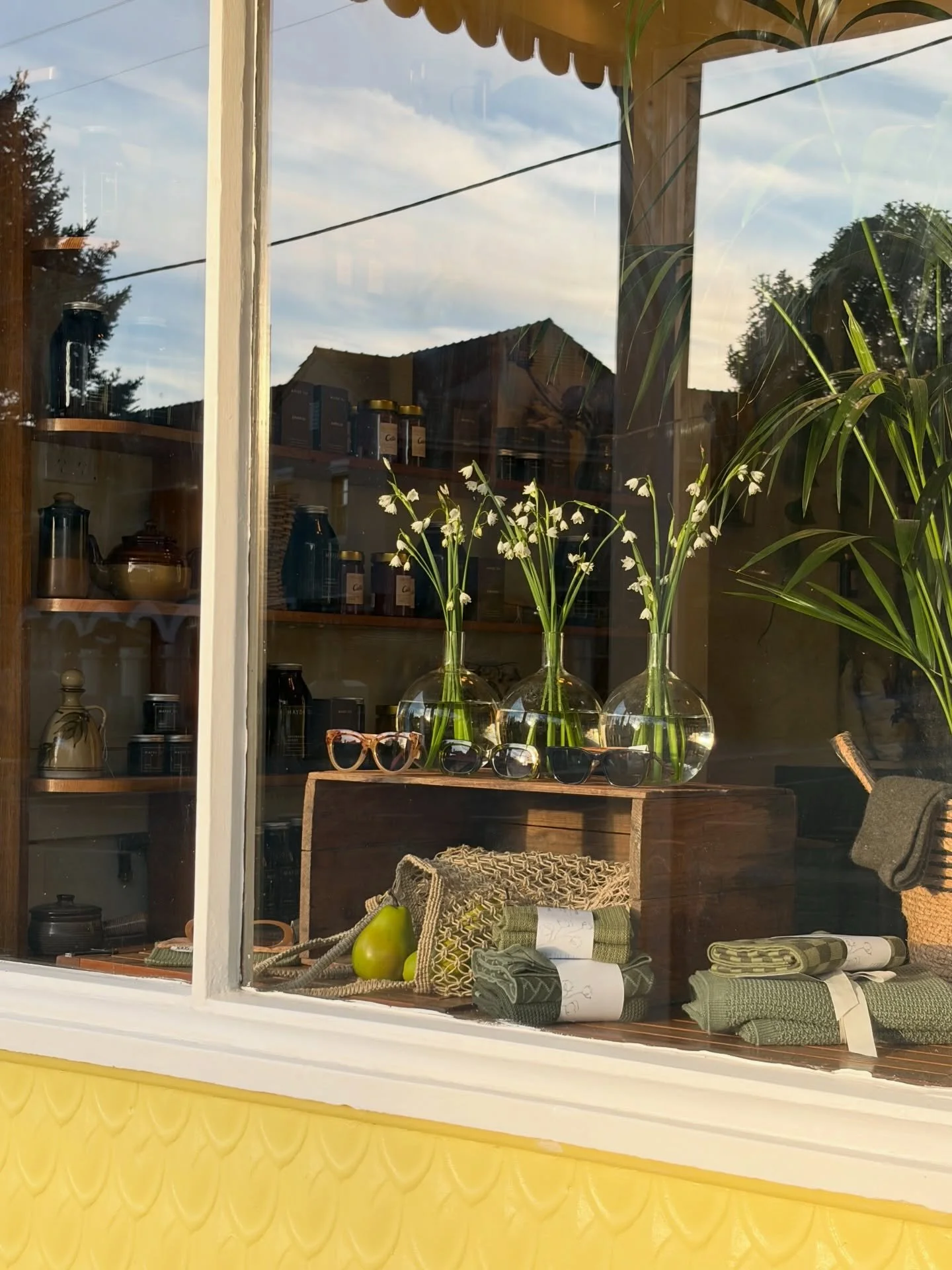 A little window into Cello.

Spring light, fresh blooms and a few beautiful things gathered along the way. Pop in, pull up a seat and stay awhile.

Open daily, 8am to 3pm 🍋