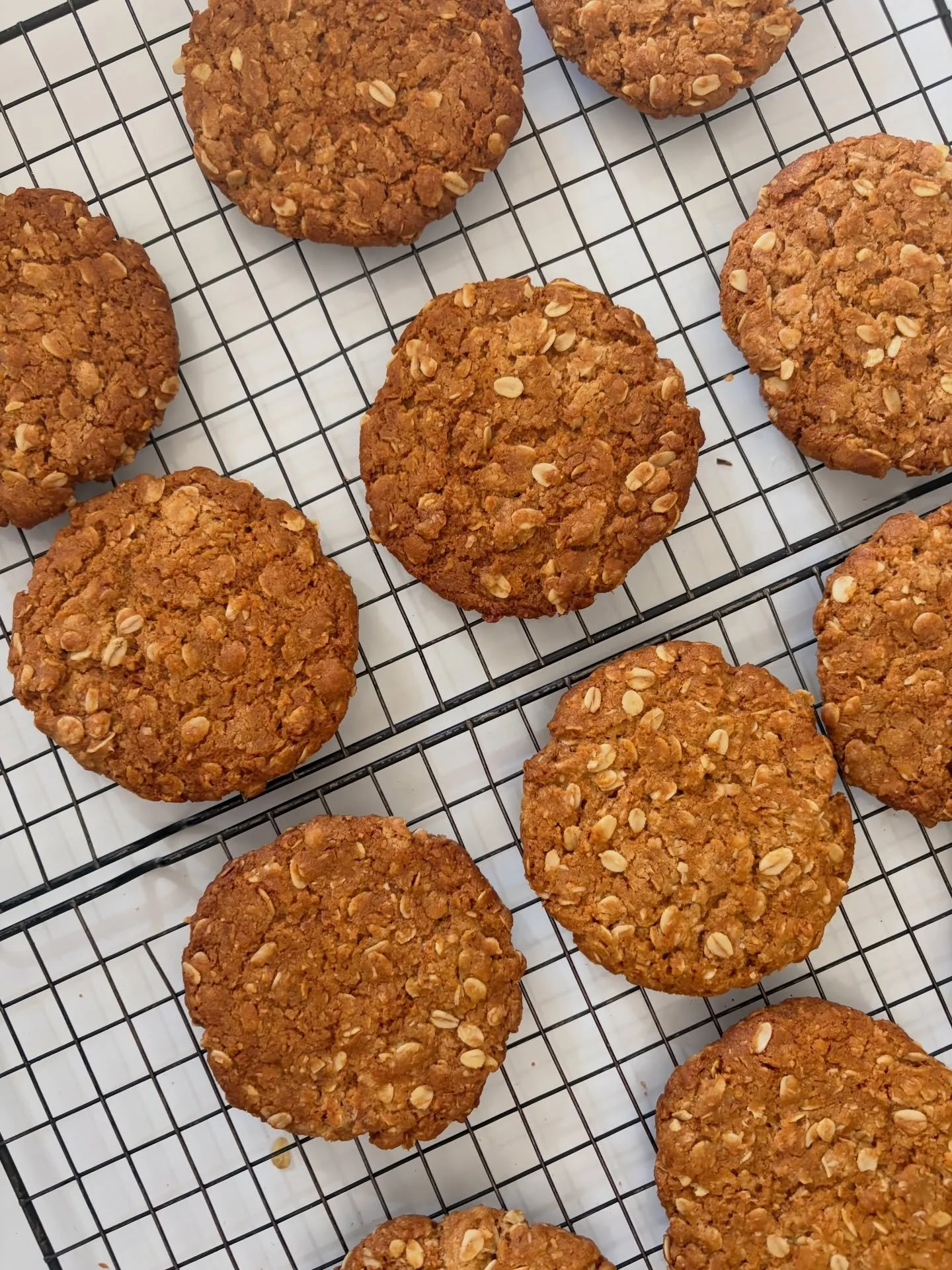 Close-up of multiple anzac oatmeal cookies made with golden syrup and coconut. House made, home made in Hepburn Springs