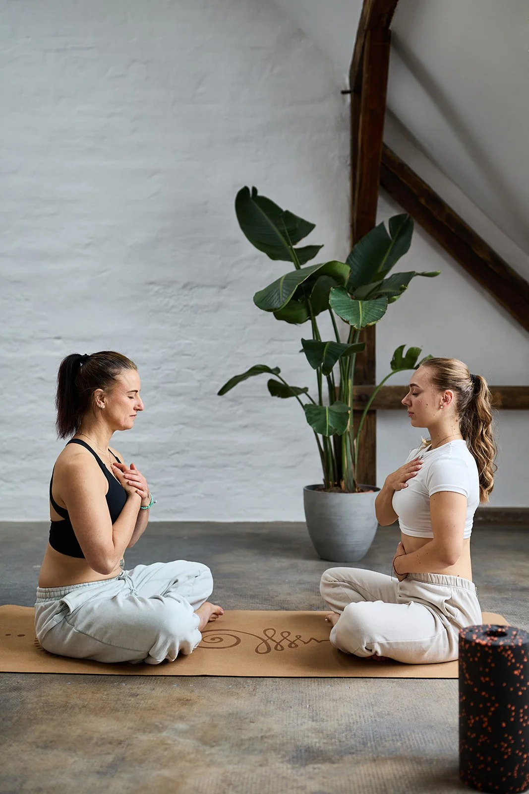 Zwei Frauen sitzen im Schneidersitz gegenüber auf Yoga-Matten, meditieren mit geschlossenen Augen, in einem Raum mit weißem Wand, einer großen Topfpflanze und Holzträgern im Dach.