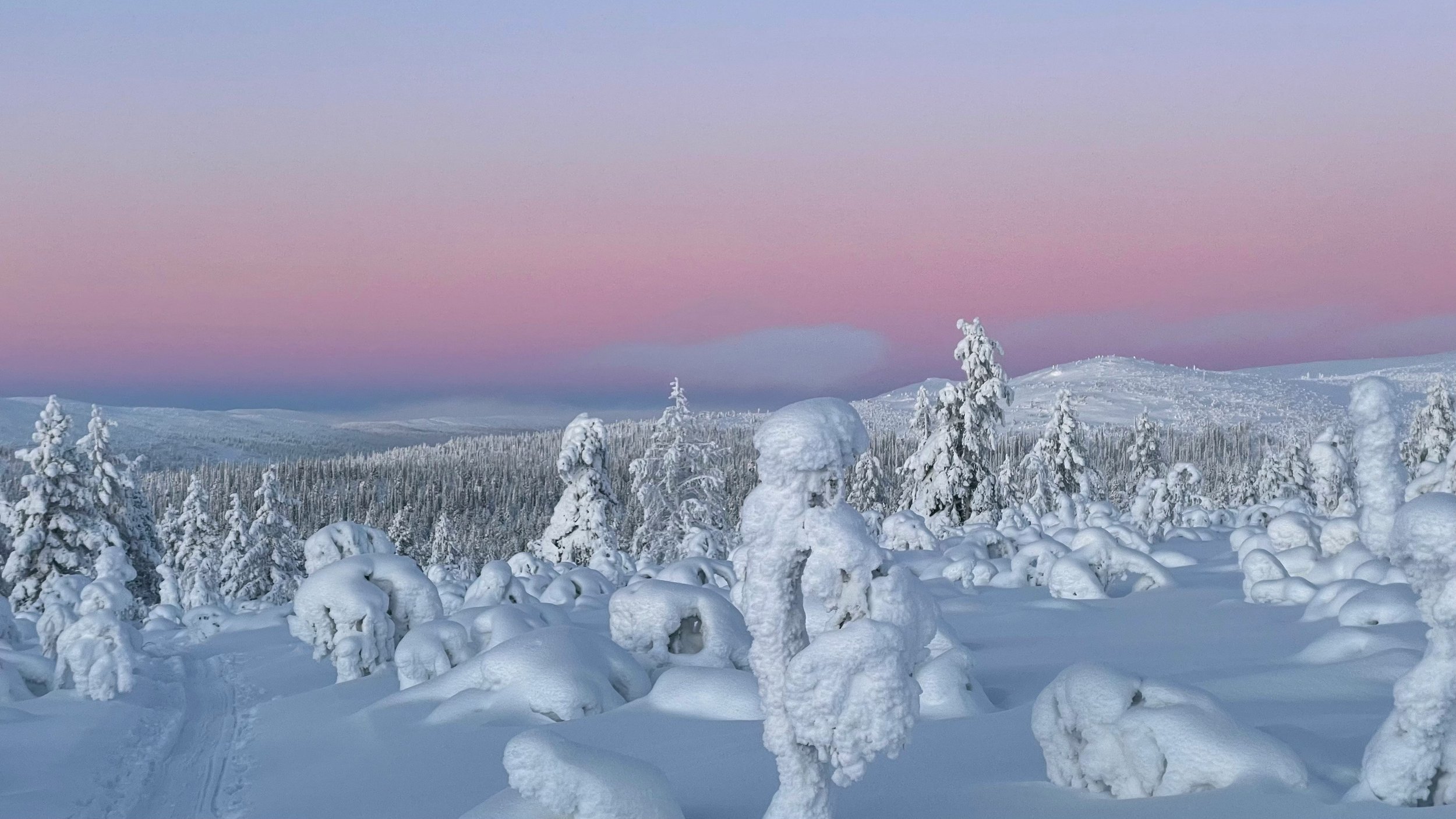 Snow-covered forest with frosted trees under a pink and purple sky during twilight.
