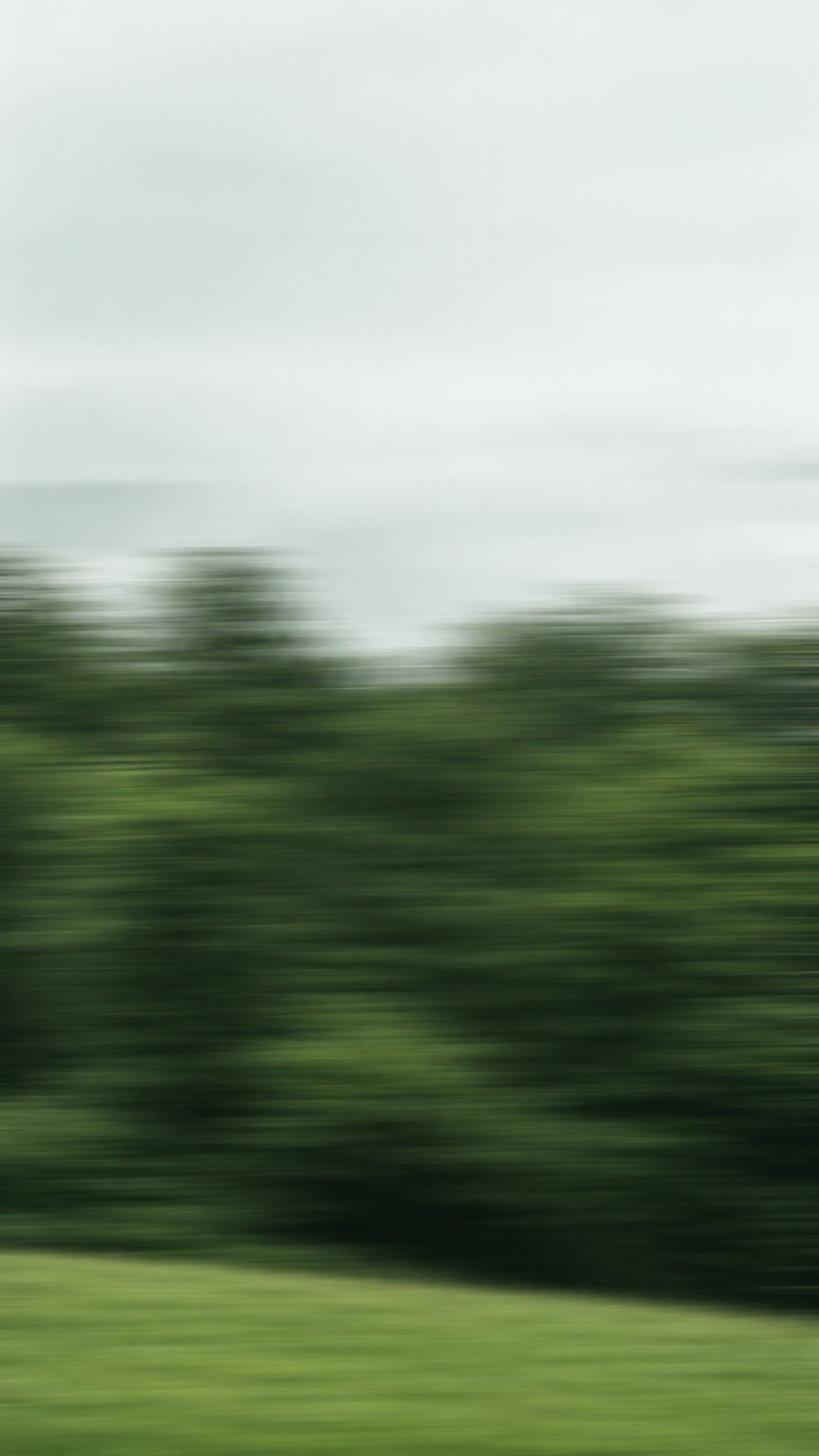 Blurred view of trees and sky seen from a moving vehicle.