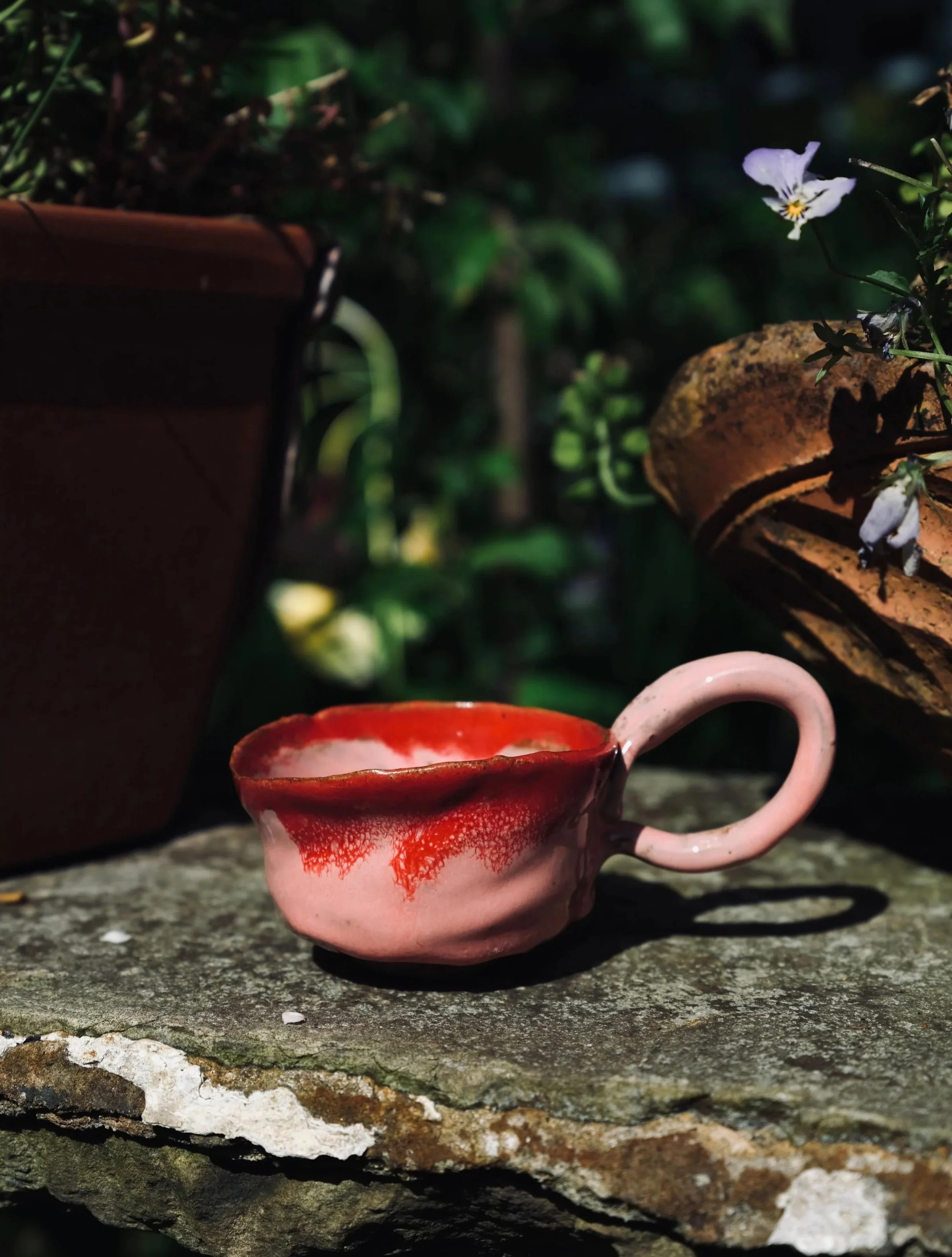 A pink and red ceramic cup with a handle, resting on a rough wooden surface in an outdoor setting with green plants and rocks.