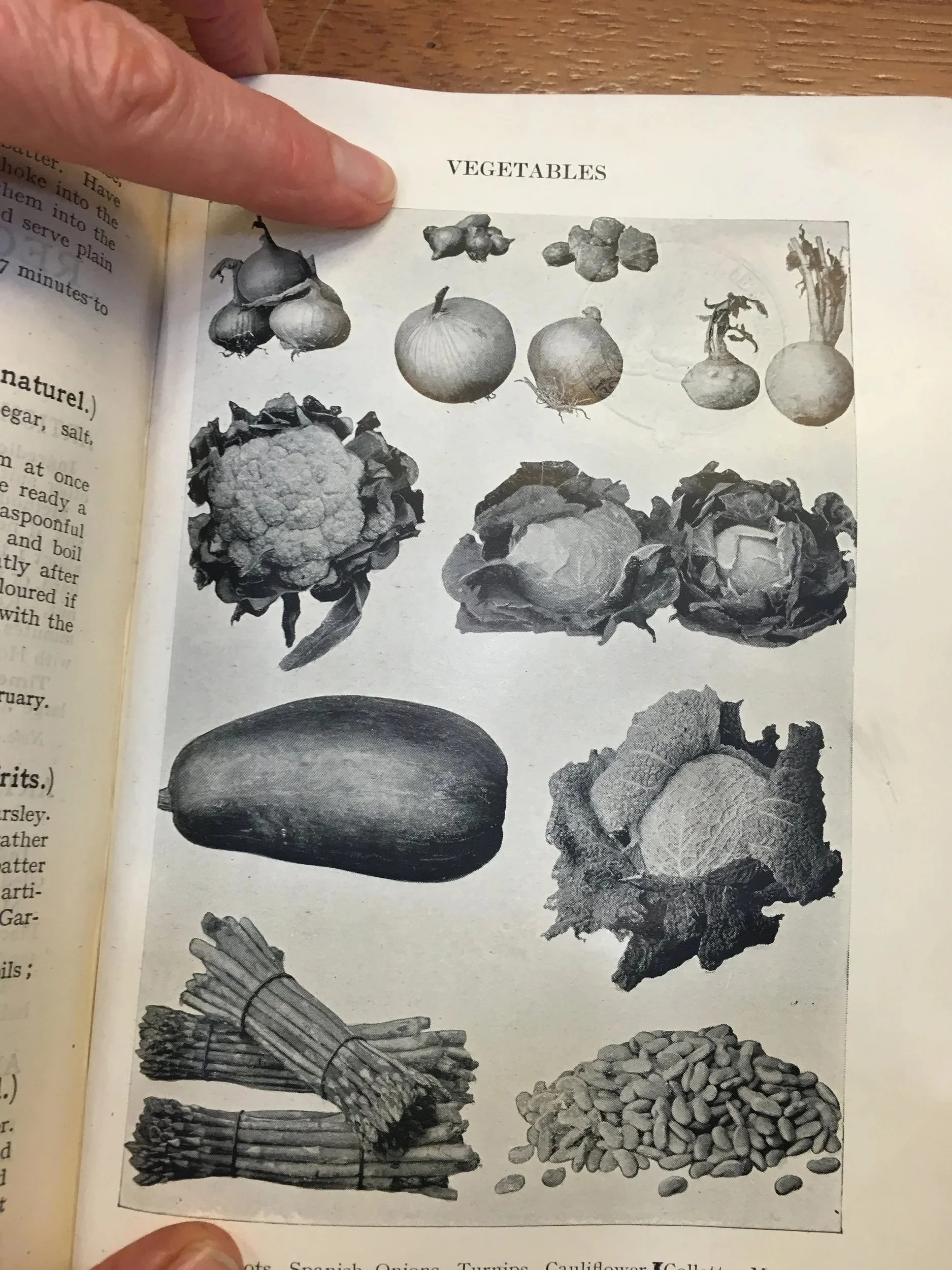 vegetables+-Mrs+Beeton.jpg
