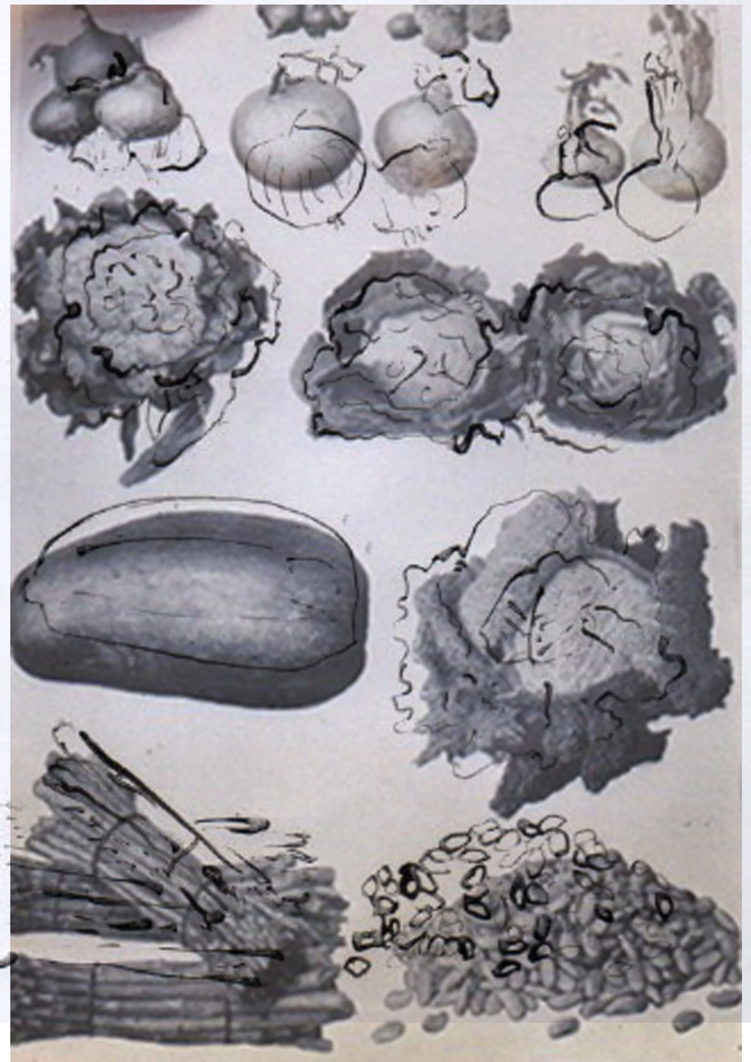 vegetables with lightbox.jpg