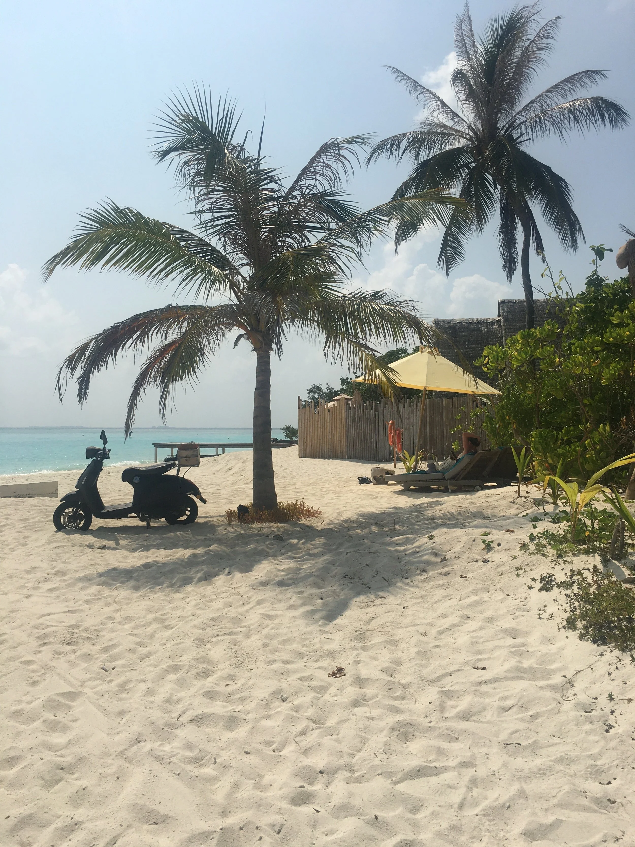 A beach scene with two tall palm trees, lounge chairs, a large yellow umbrella, and a scooter on the sandy shore under a partly cloudy sky.