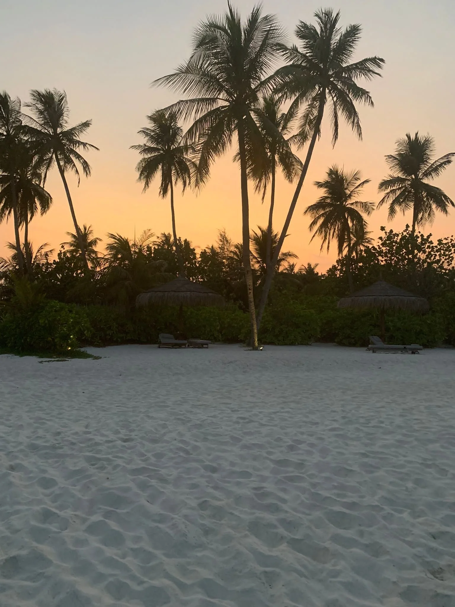Tropical beach scene during sunset with white sand, palm trees, and thatch umbrellas in the background.