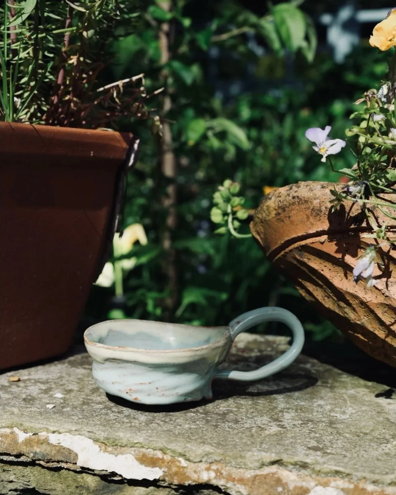 A small white ceramic cup with a handle sits on a rough stone surface outdoors. Behind it, there are potted plants with green leaves and small flowers, and the scene is illuminated by natural sunlight.
