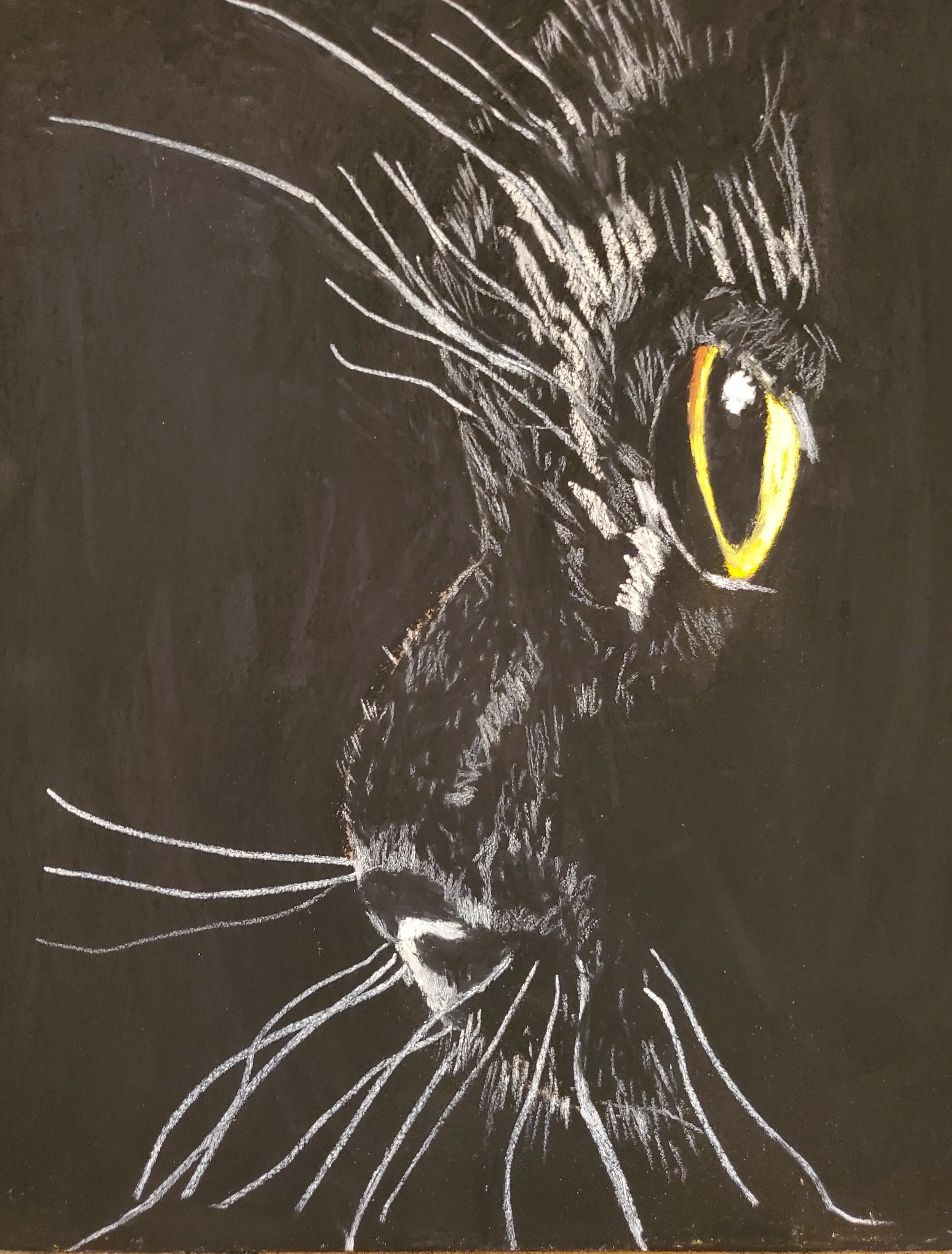 "Eye-Spy" soft pastel on sanded paper [SOLD]
