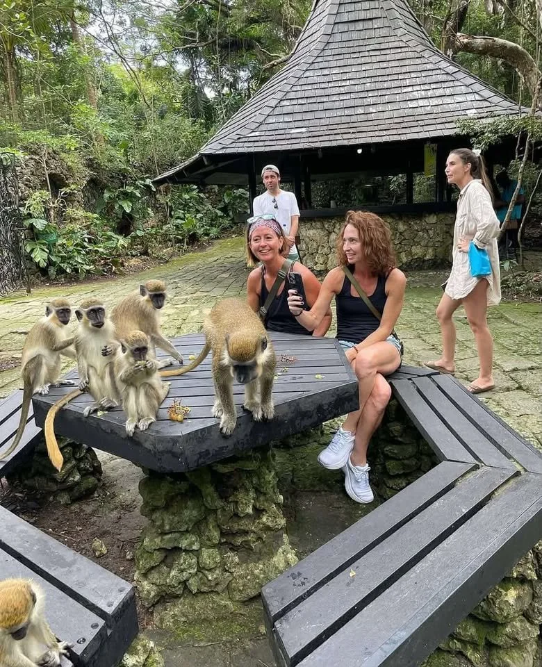 Private 7-seater Island Tour
