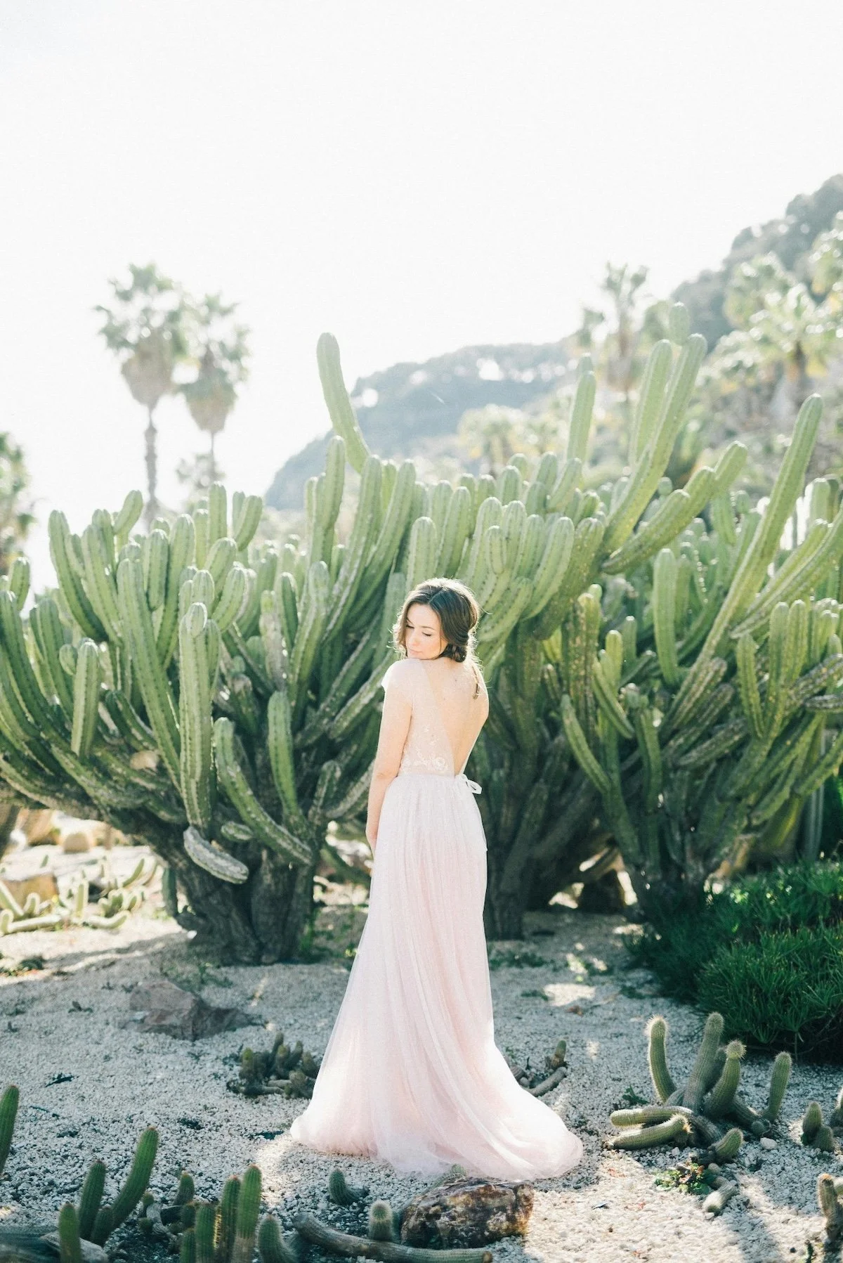 A woman in a flowing white dress standing in front of a large cactus in a desert landscape with palm trees in the background.