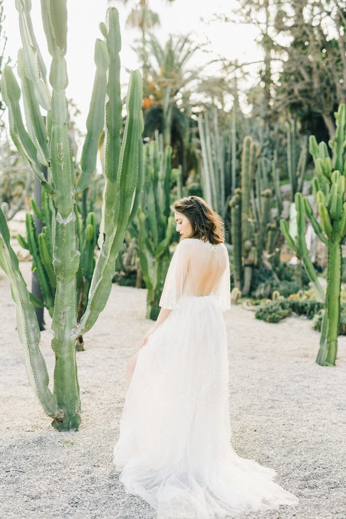 A woman in a white dress standing among tall cactus plants outdoors during daylight.