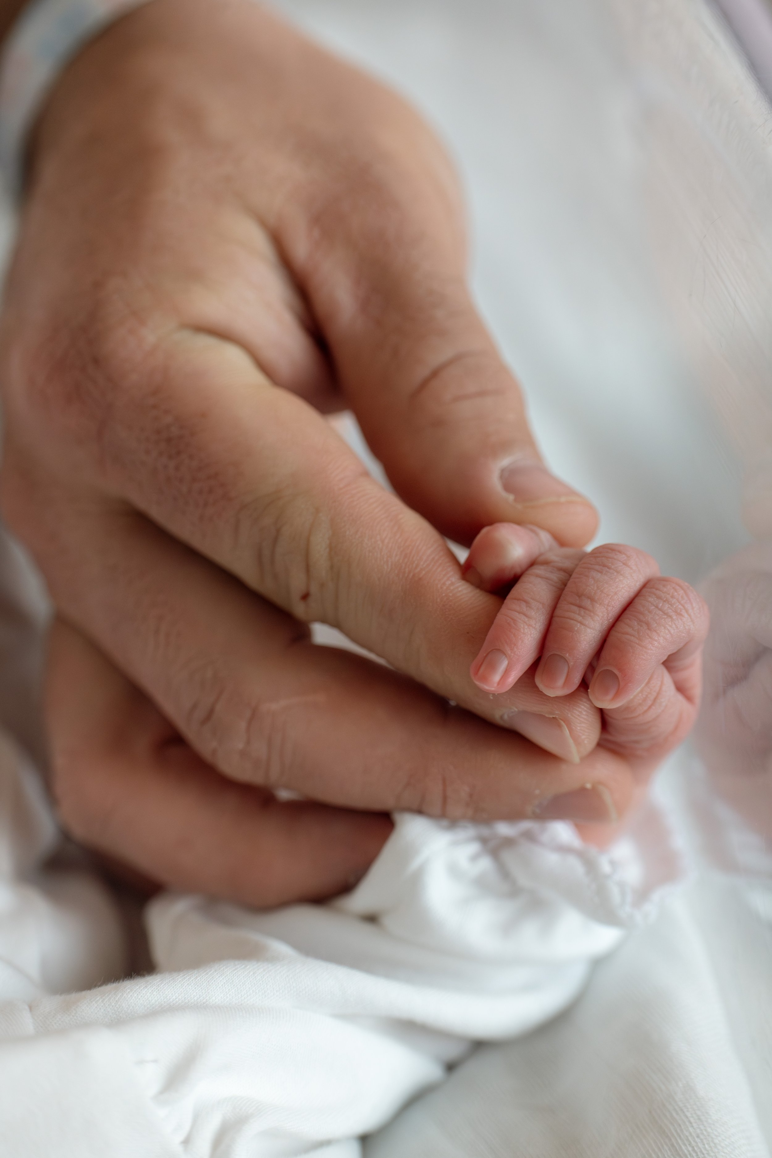 Hailey-Copland-Photography-SMITH48-112.jpg