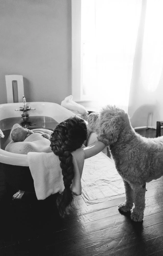 A young girl with braided hair leaning over a bathtub, touching a newborn baby inside with a fluffy dog standing beside her in a bright room. home birth photographer in Austin 