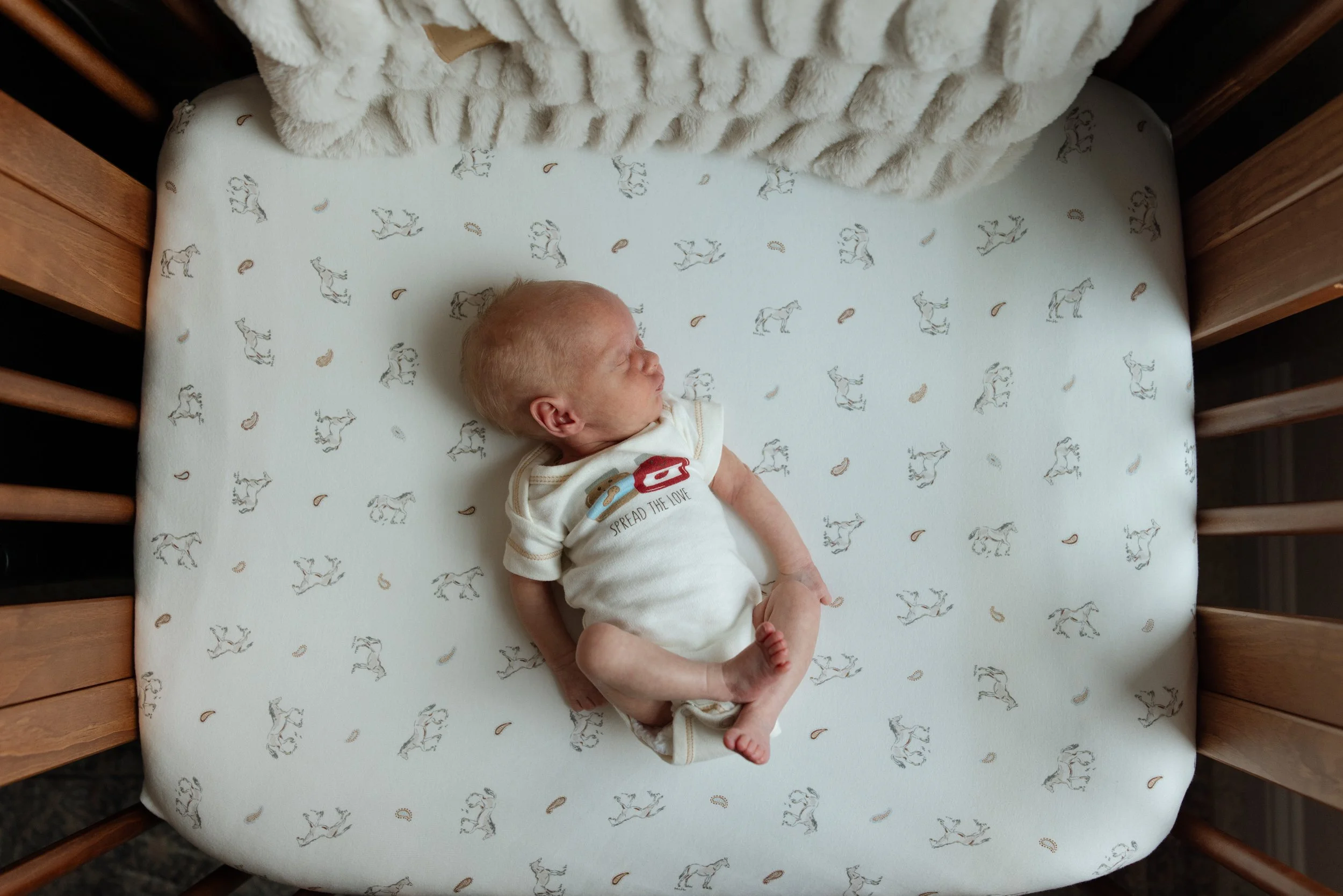 A sleeping newborn baby lying on a crib mattress covered with a light-colored sheet featuring horse and seed shapes, with a soft blanket at the head of the crib. Austin Texas in home newborn photography 