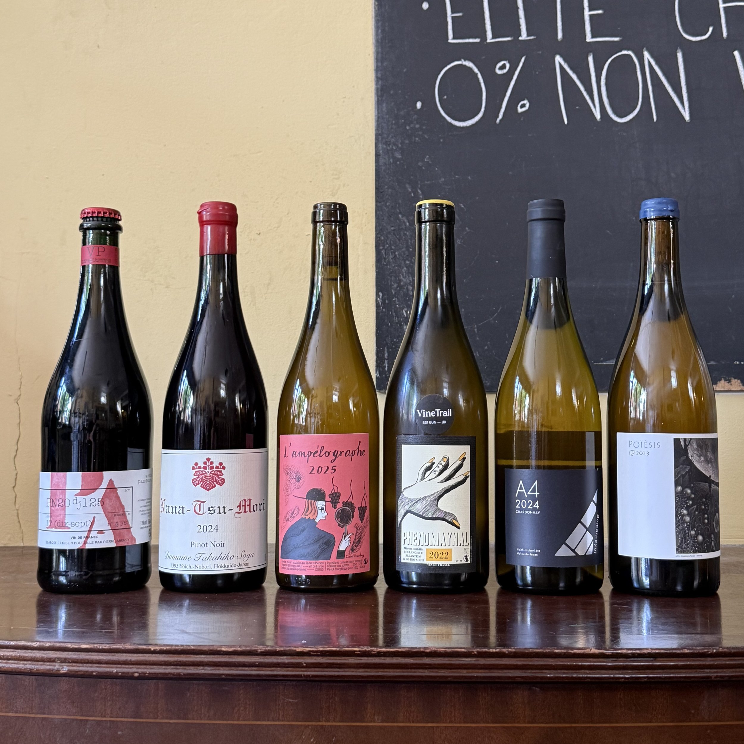 IMG_2554.jpeg