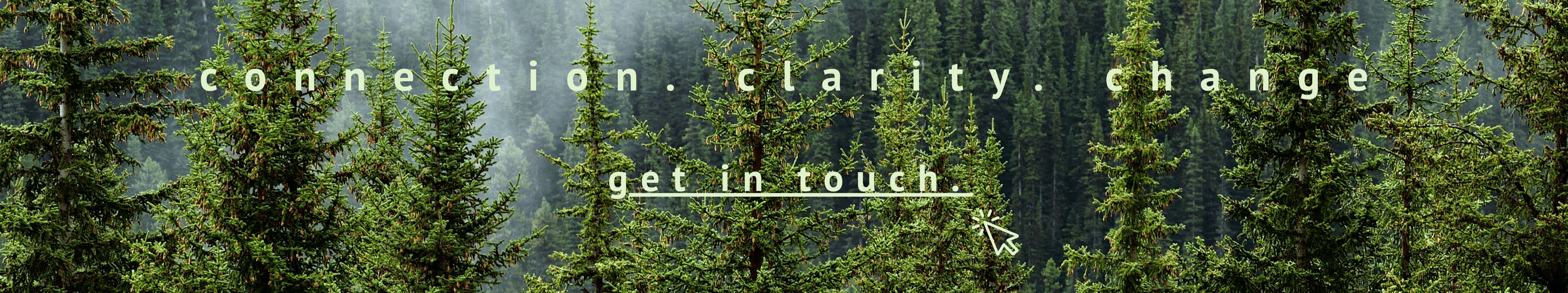 Overlay of the words 'connection. clarity. change. get in touch.' on a background of pine trees in a forest with mist.