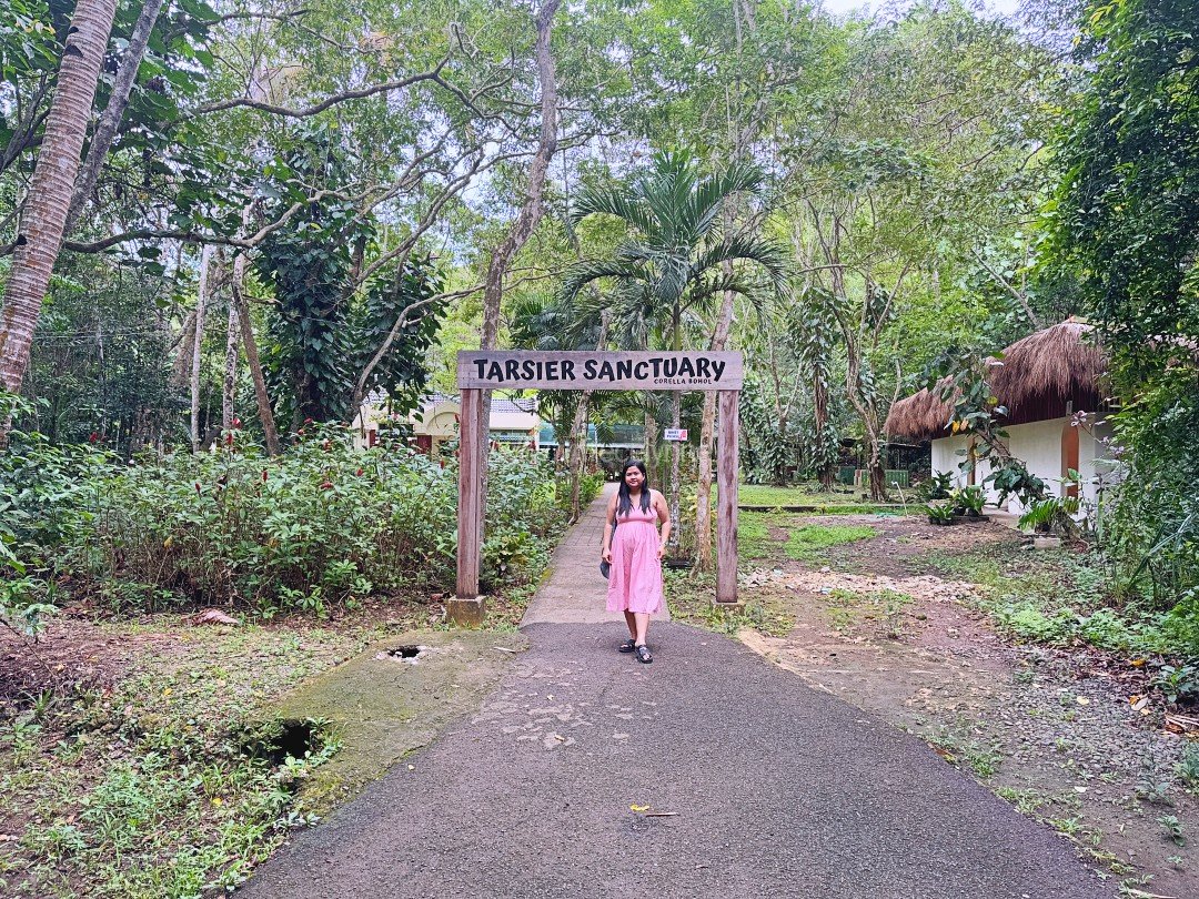 We Visited the Tarsier Sanctuary in Corella and It Changed How We Think About Wildlife Tourism