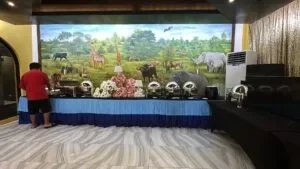 Safari-Hotel-and-Villas-in-Vigan_133_helloimfrecelynne-300x169.jpg.webp