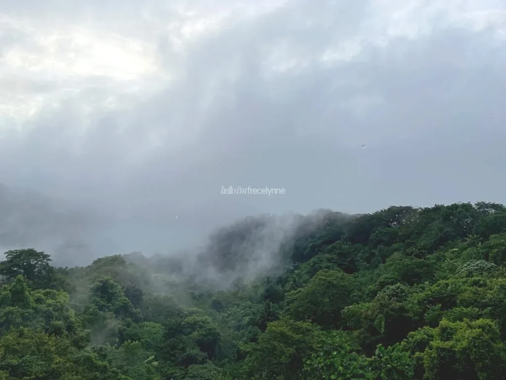 Stellar-Potter-Ridge-Tagaytay_048_helloimfrecelynne-1024x768.jpg.webp