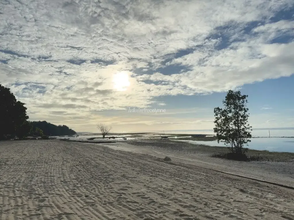 Astoria-Bohol_091_helloimfrecelynne-1024x768.webp