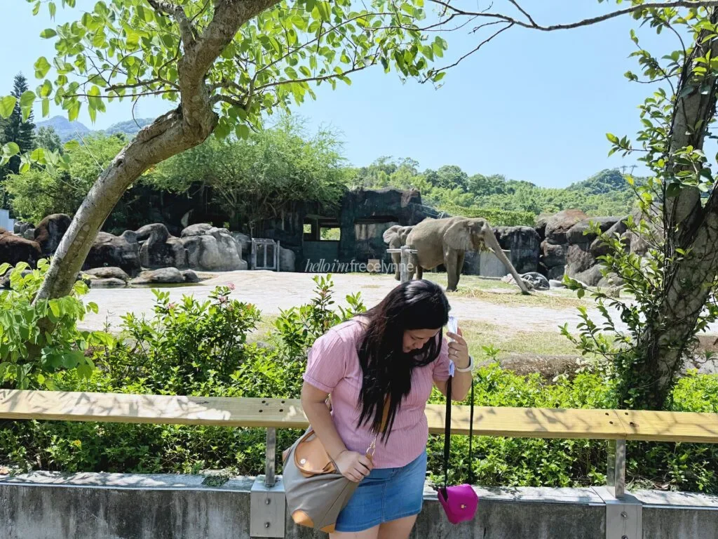 Taipei-Zoo_Guide-to-Taipei_137_helloimfrecelynne-1024x768.jpg.webp