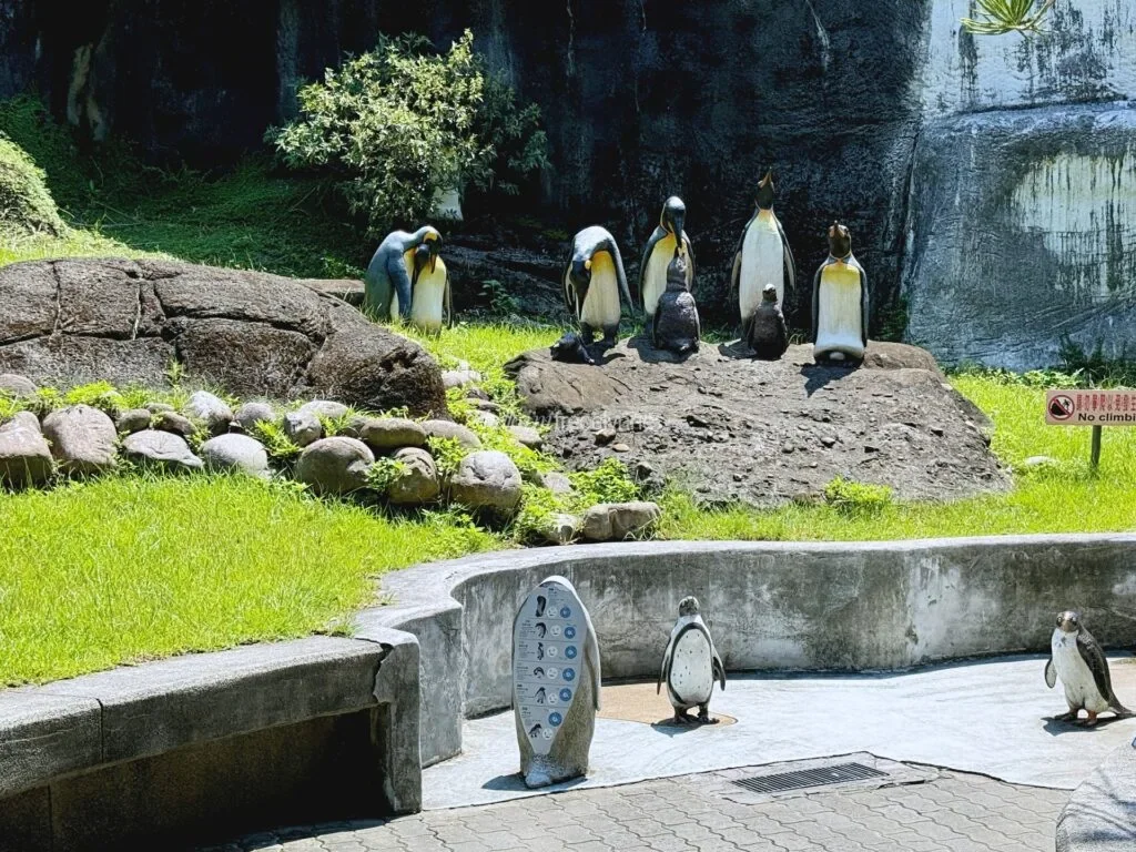 Taipei-Zoo_Guide-to-Taipei_144_helloimfrecelynne-1024x768.jpg.webp