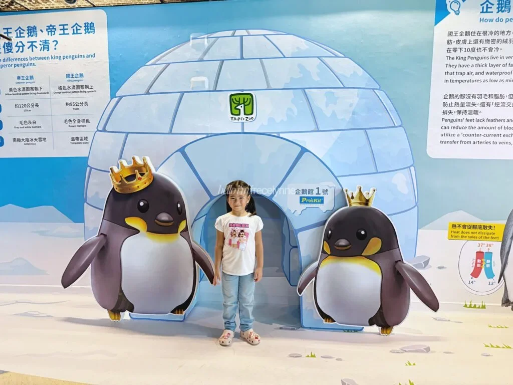 Taipei-Zoo_Guide-to-Taipei_150_helloimfrecelynne-1024x768.jpg.webp