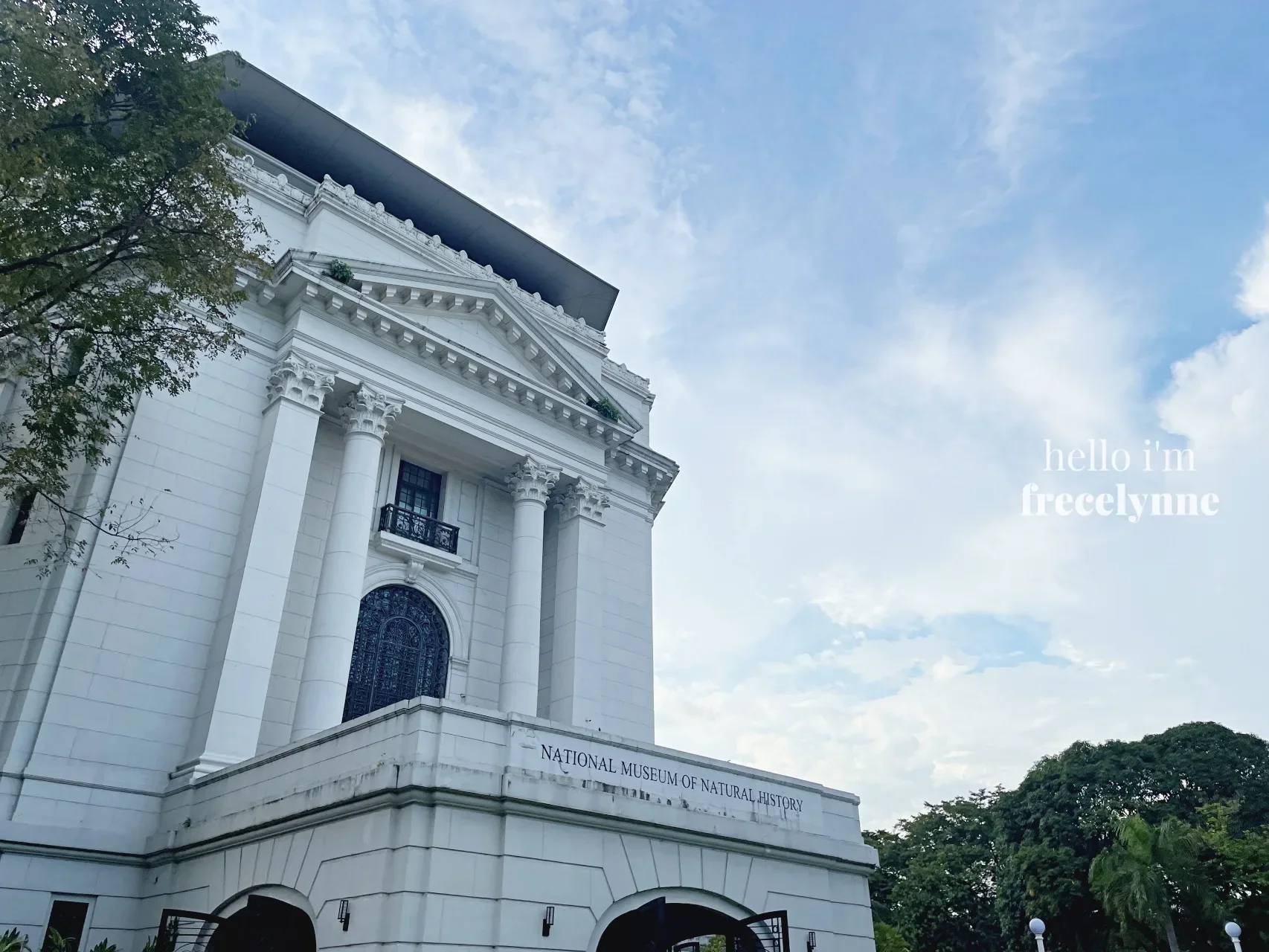 Guide to National Museum of Natural History in Manila
