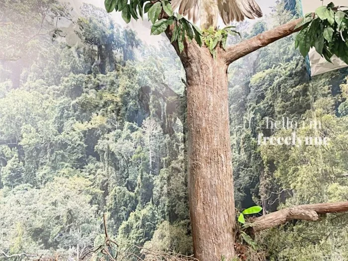 National-Museum-of-Natural-History_0917_Hello-Im-Frecelynne-700x525.jpg.webp