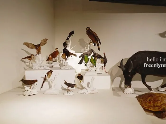 National-Museum-of-Natural-History_0333_Hello-Im-Frecelynne-700x525.jpg.webp