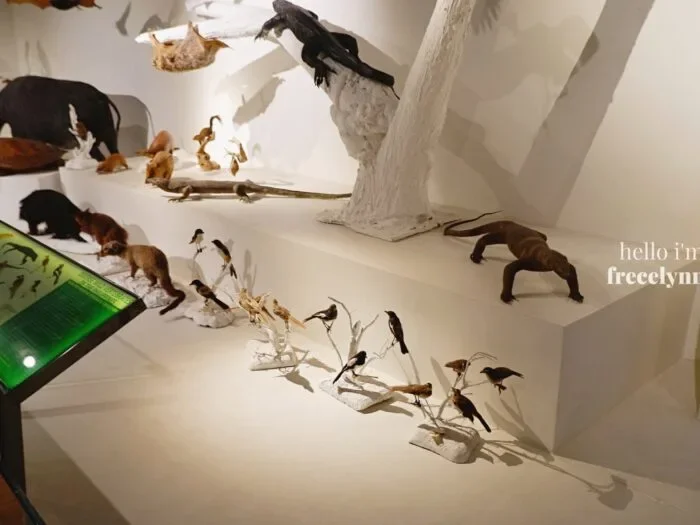 National-Museum-of-Natural-History_0341_Hello-Im-Frecelynne-700x525.jpg.webp