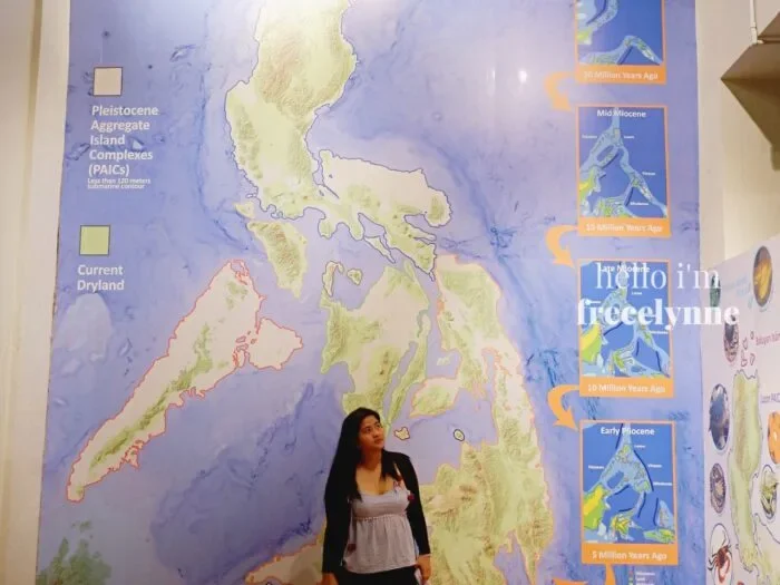 National-Museum-of-Natural-History_0356_Hello-Im-Frecelynne-700x525.jpg.webp
