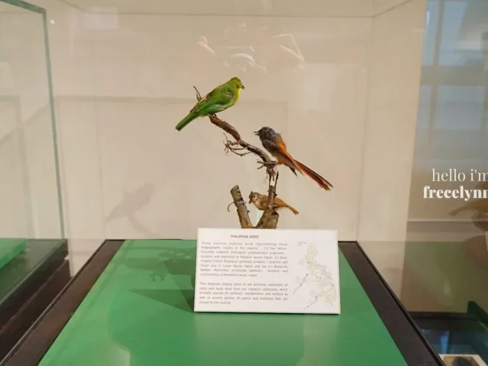 National-Museum-of-Natural-History_0367_Hello-Im-Frecelynne-700x525.jpg.webp