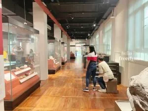 National-Museum-of-Natural-History_0926_Hello-Im-Frecelynne-300x225.jpg.webp