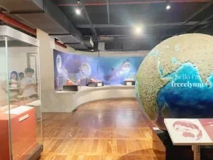 National-Museum-of-Natural-History_1008_Hello-Im-Frecelynne-300x225.jpg.webp