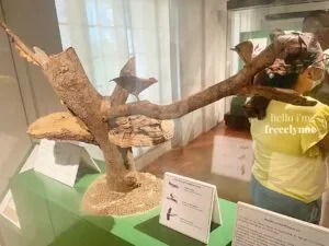 National-Museum-of-Natural-History_0780_Hello-Im-Frecelynne-300x225.jpg.webp
